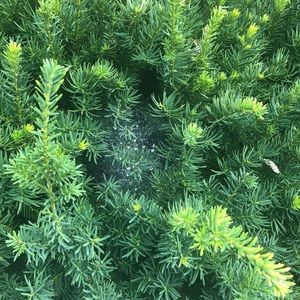 Reserved for @folllw_mybags